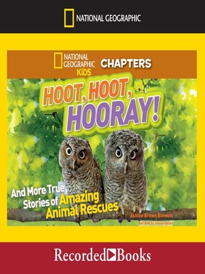 cover image of Hoot, Hoot, Hooray!